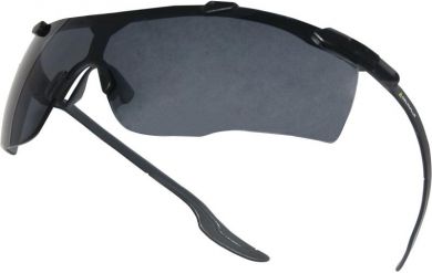 Delta Plus Tonētas aizsargbrilles UV400 KISKAFU | Elektrika.lv